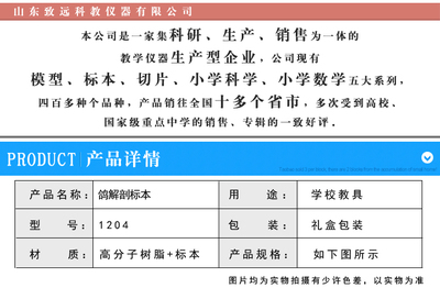 鴿解剖標(biāo)本與包埋標(biāo)本在中學(xué)生物教學(xué)中的應(yīng)用與選購指南