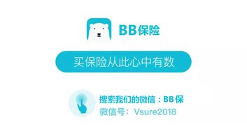 百年康惠保旗艦版純重疾險(xiǎn)深度解讀 聚焦核心保障，守護(hù)家庭健康